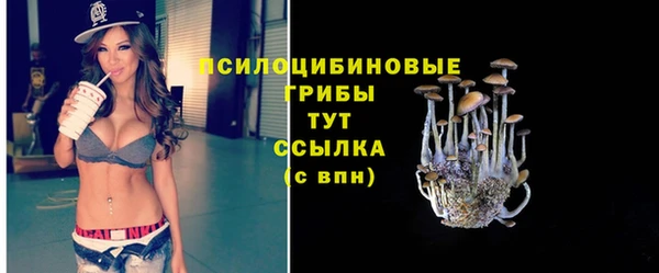 тгк Алексин
