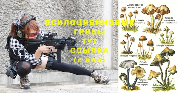меф Алзамай